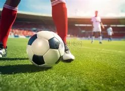 中国足协副,主席孙雯新,华访谈,新葡京,新葡京app,新葡京娱乐,新普京赌场