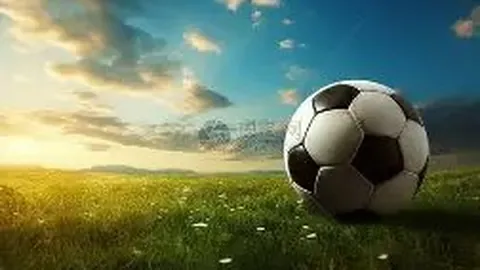 文旅市场新活力：县域、滨海、赏花游热度高涨，展现高质量发展潜力 2025-02-24